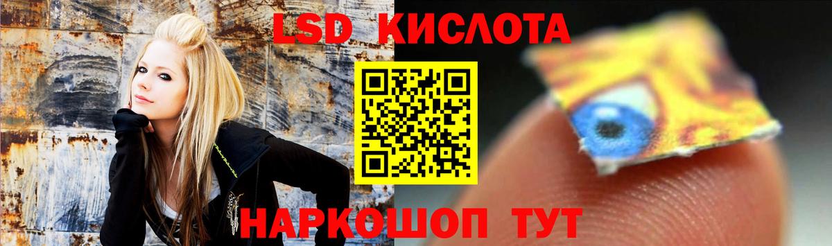 Шадринск  LSD-25 экстази  Вход с VPN  Лсд 25 экстази ecstasy  Лсд 25 экстази кислота 