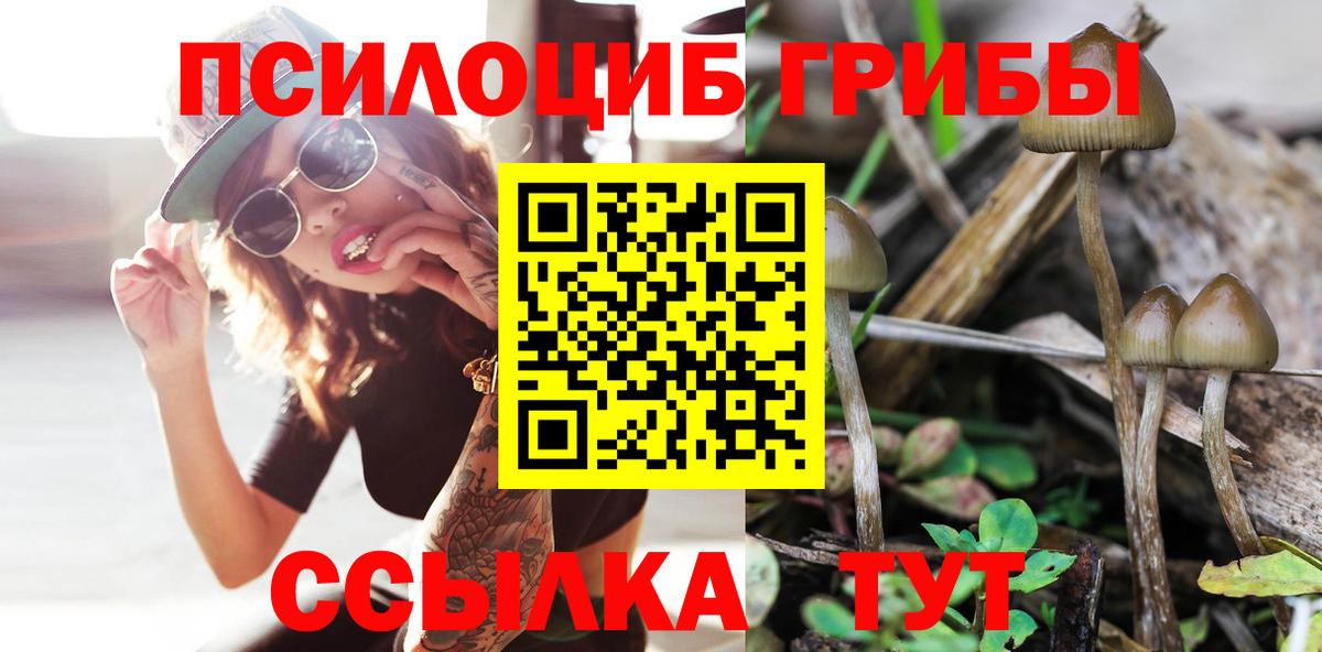 Галлюциногенные грибы Magic Shrooms  закладки  Шадринск  Вход с VPN 