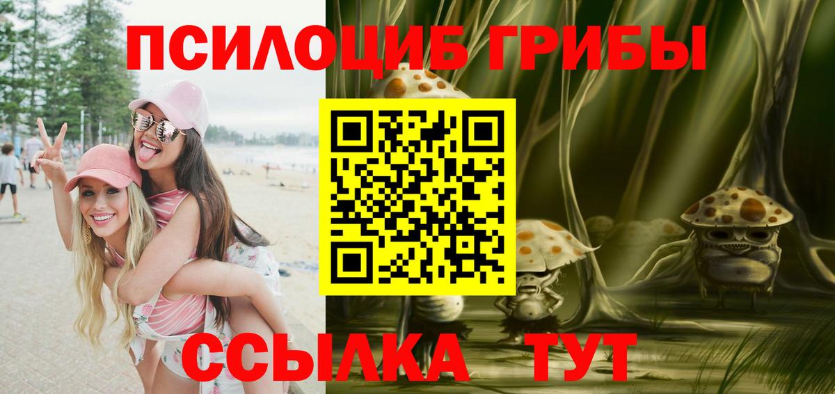 Псилоцибиновые грибы мухоморы Шадринск